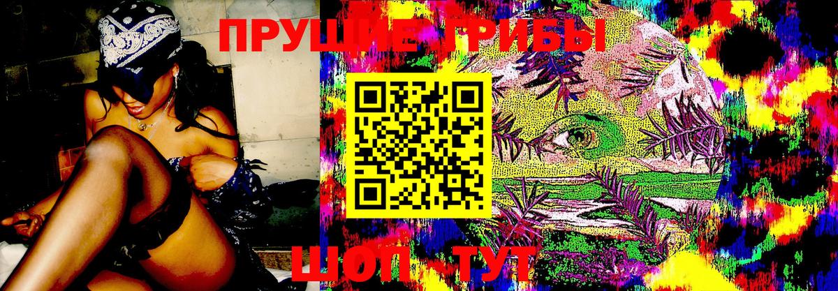 где купить   Псилоцибиновые грибы мухоморы  Вход с VPN  Елабуга 